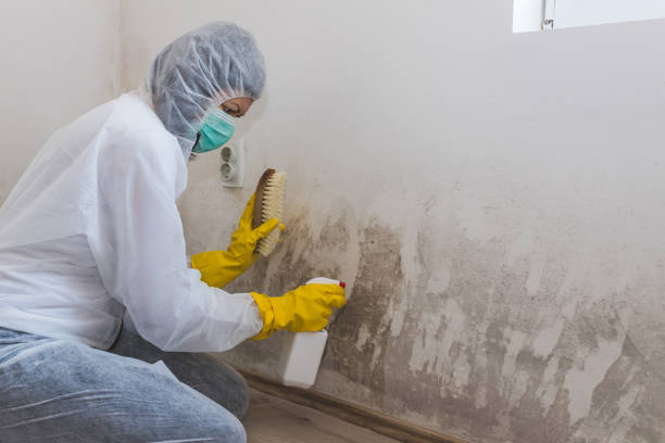 Asbestos and Lead Testing During Mold Inspection in Wilmerding, PA